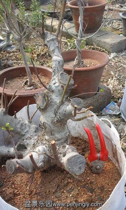 20150320_103707.jpg