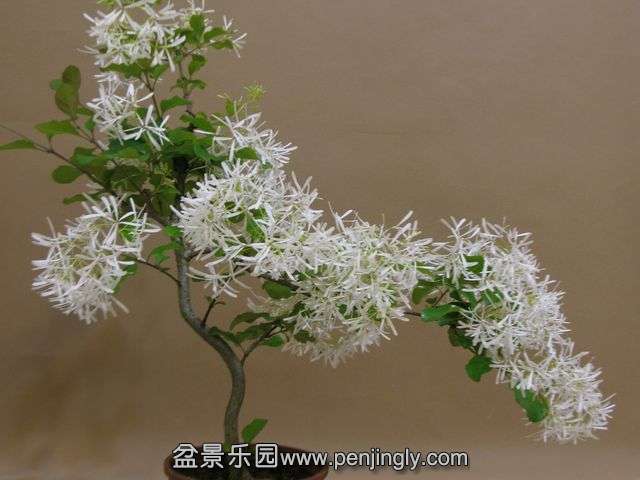 1IMG_2046.jpg