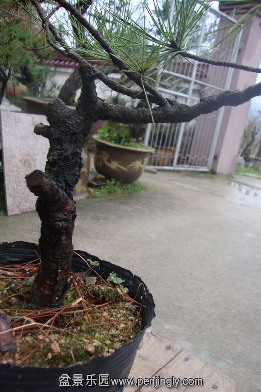 DSC03109_.jpg