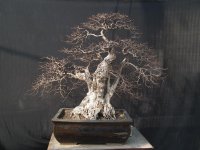 psb (9).jpg