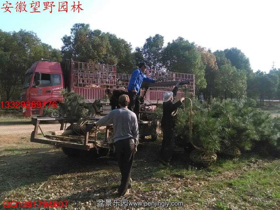 B3A1ED9A78CC25DCA6D64B4806CA3A93.jpg
