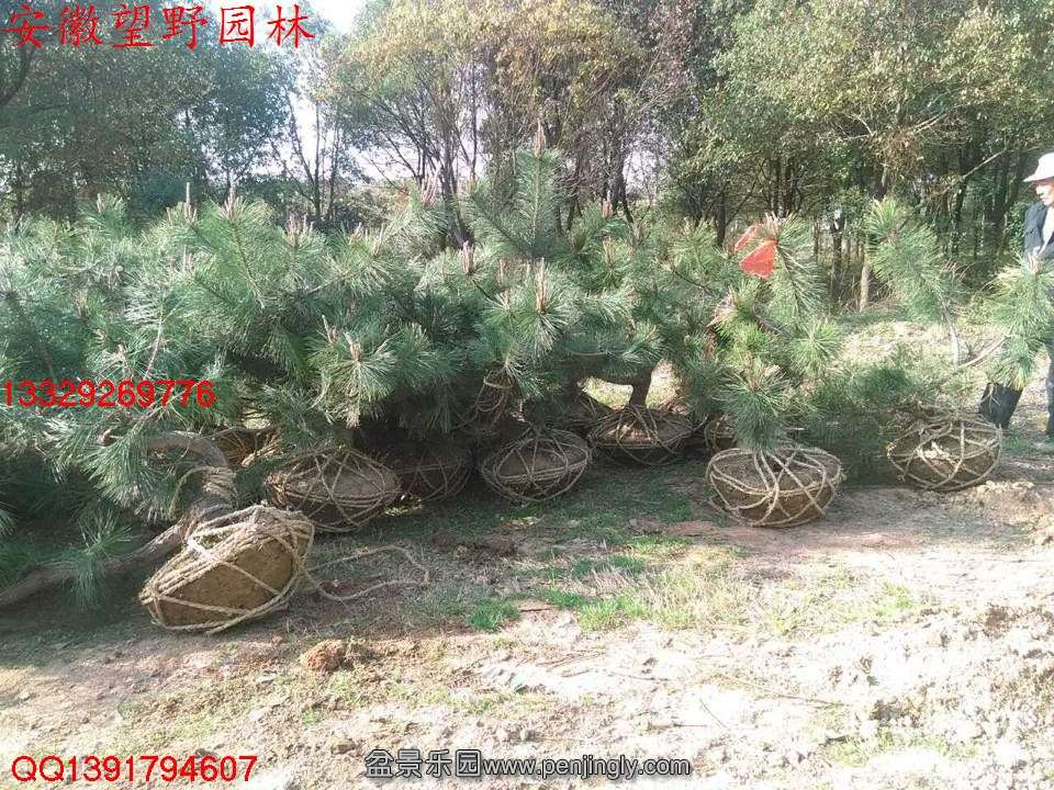 7C4E683D20AD2FF41D71DD094897012A.jpg