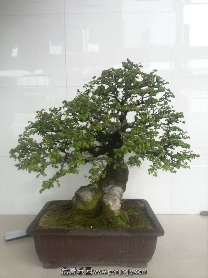 QQͼƬ20150327095359.jpg