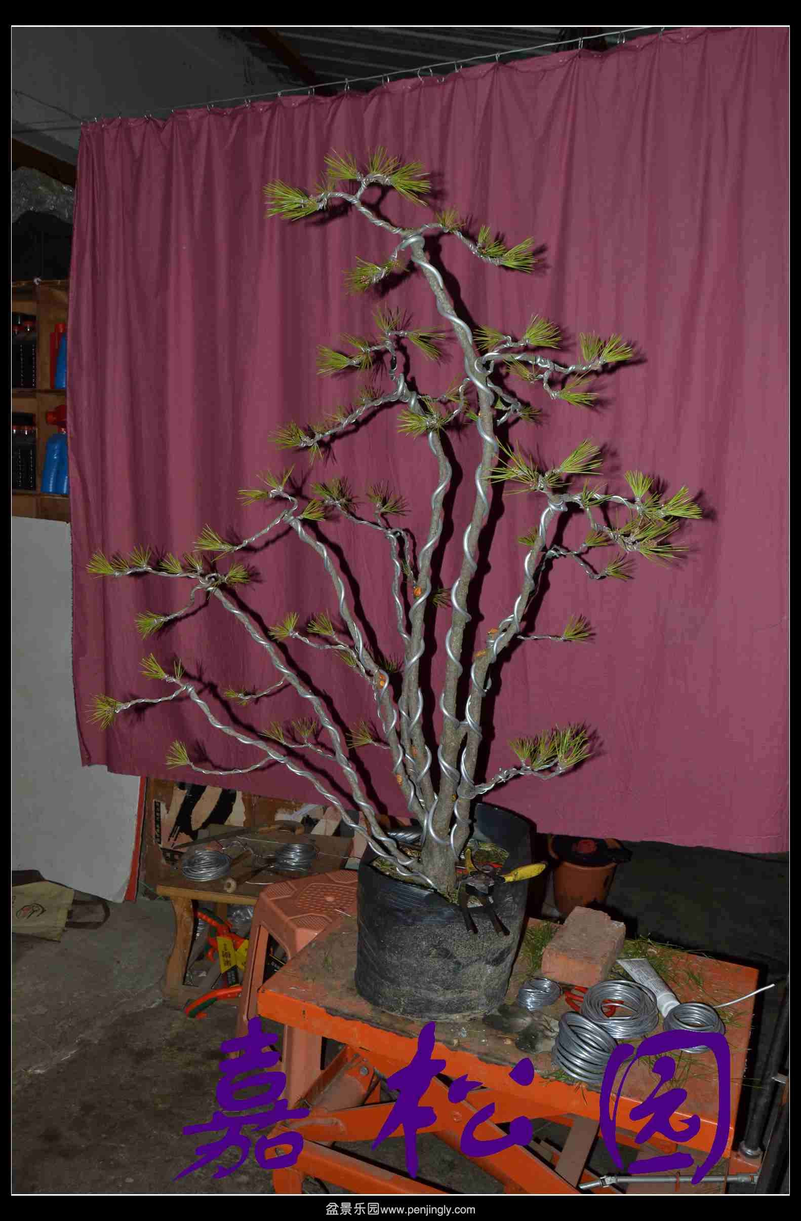 ��������� 002.JPG