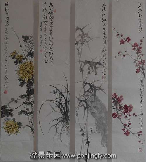 DSCN4657.JPG