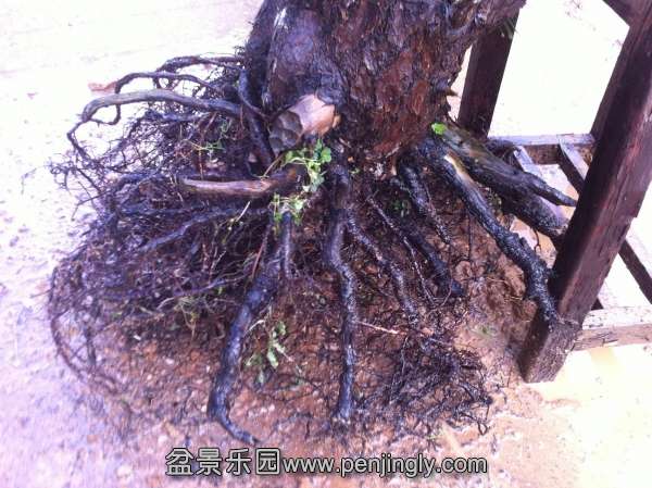 192252uwr4sqfy2w3dtsqm.jpg.thumb.jpg
