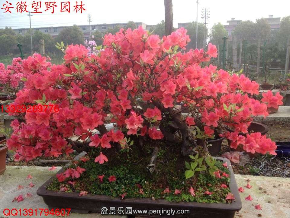 166F4C7DE898B5ED0D6E7E86DD48B67B.jpg