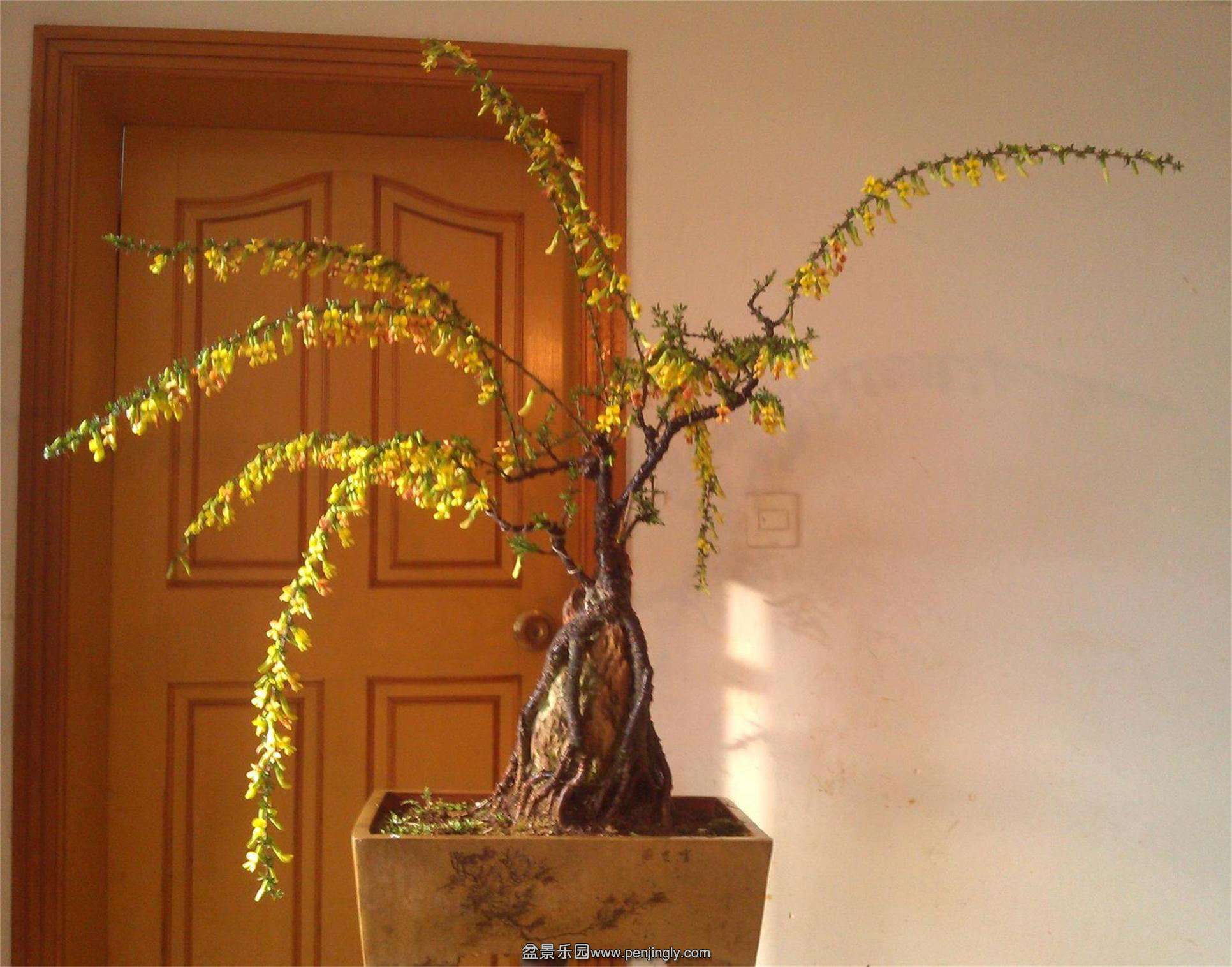ȸ19IMG_20150331_072744_2345ͼ_ͼ.jpg
