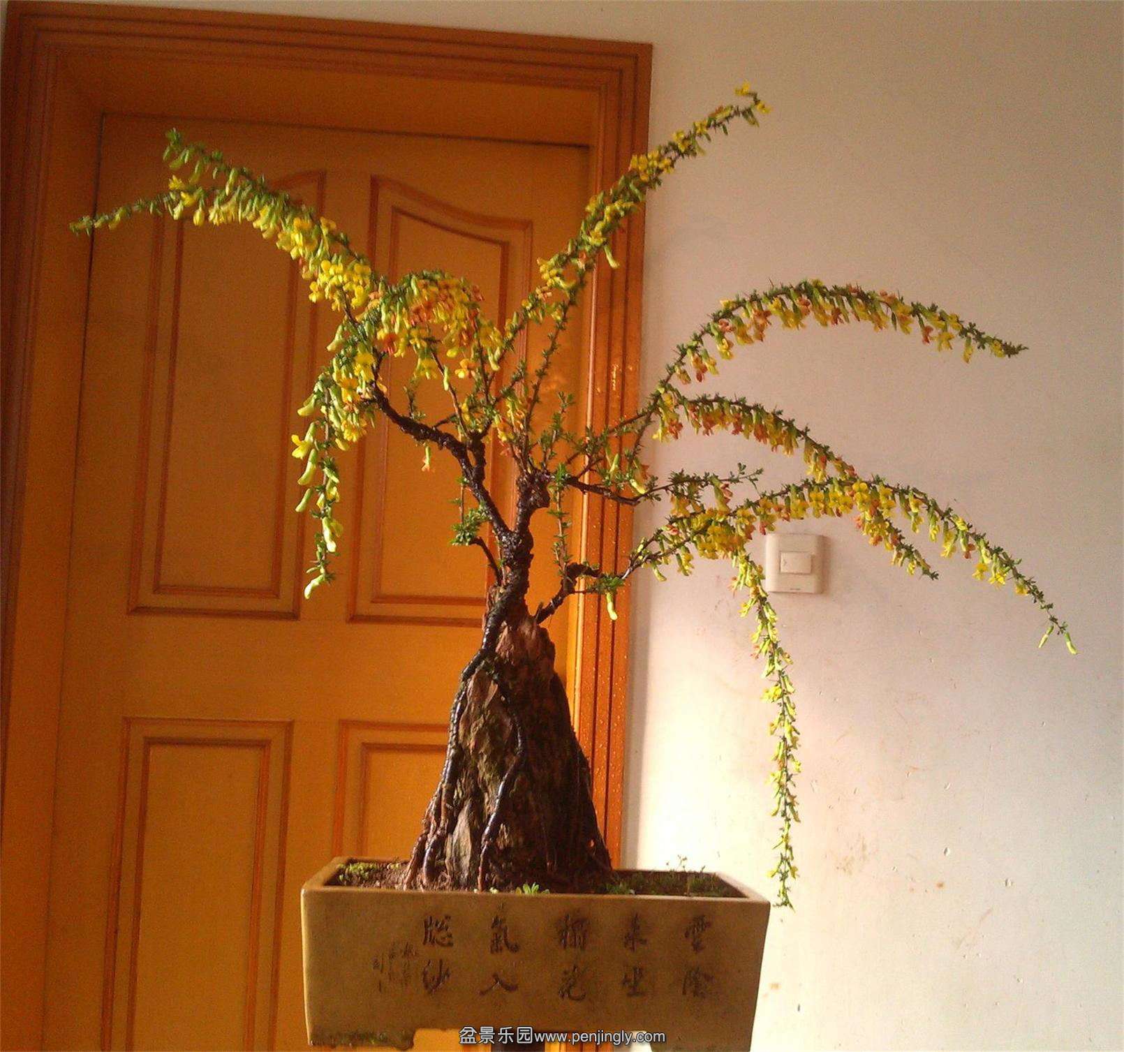 ȸ110IMG_20150331_072613_2345ͼ_ͼ.jpg