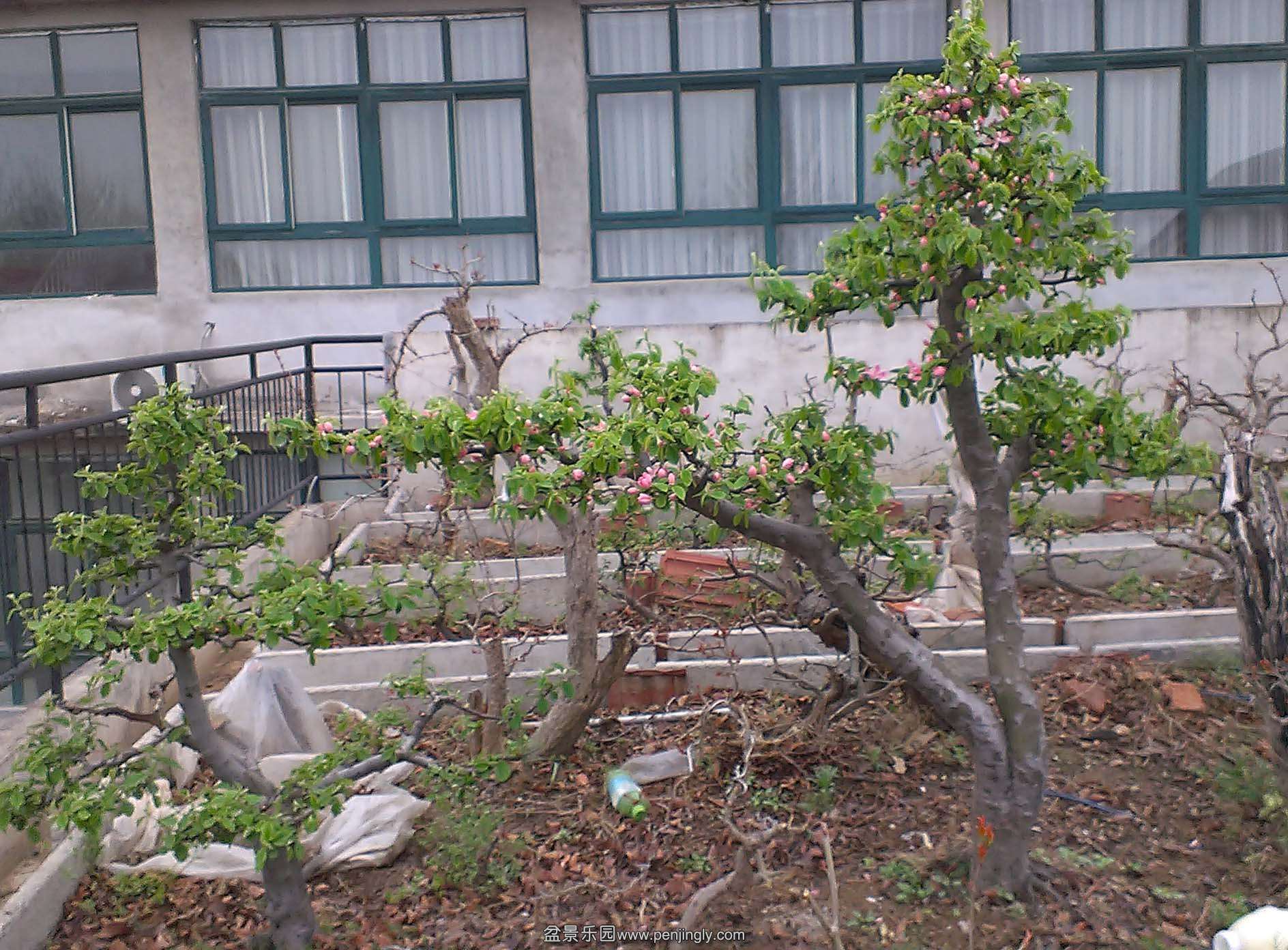 IMAG0658.jpg