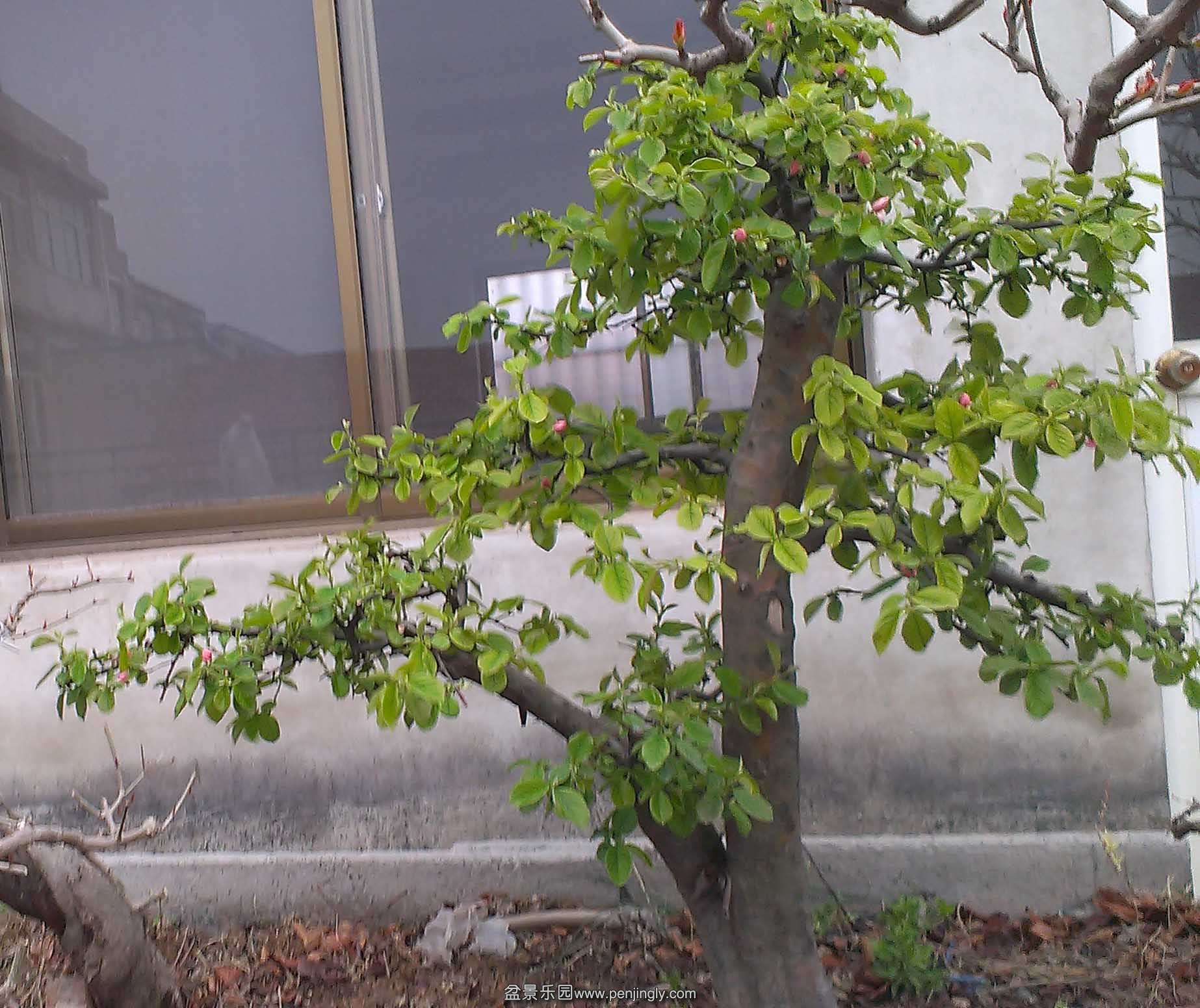 IMAG0661.jpg