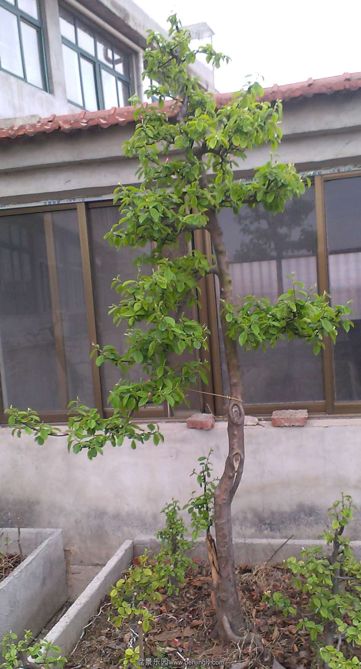 IMAG0662.jpg