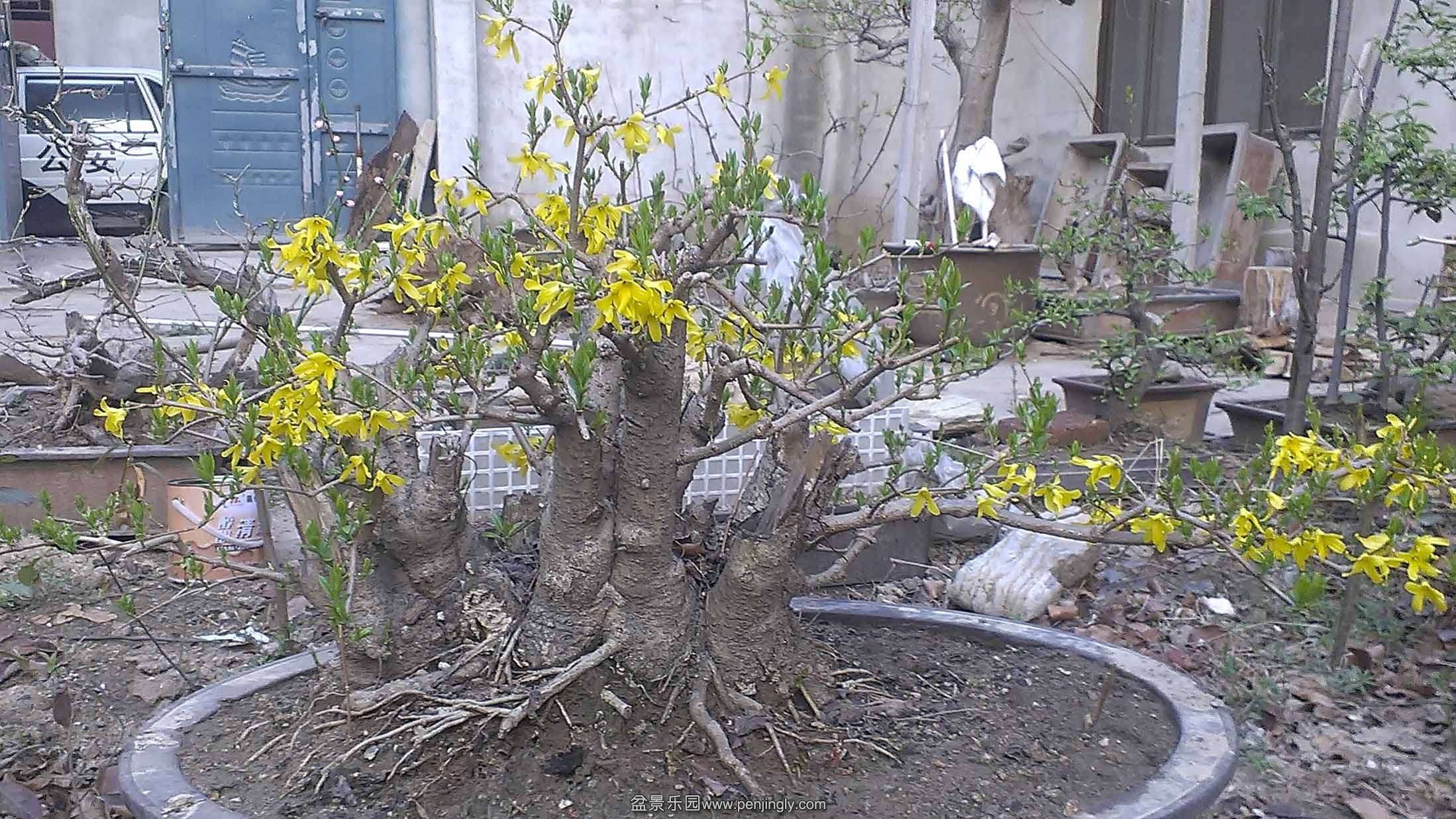 IMAG0655.jpg