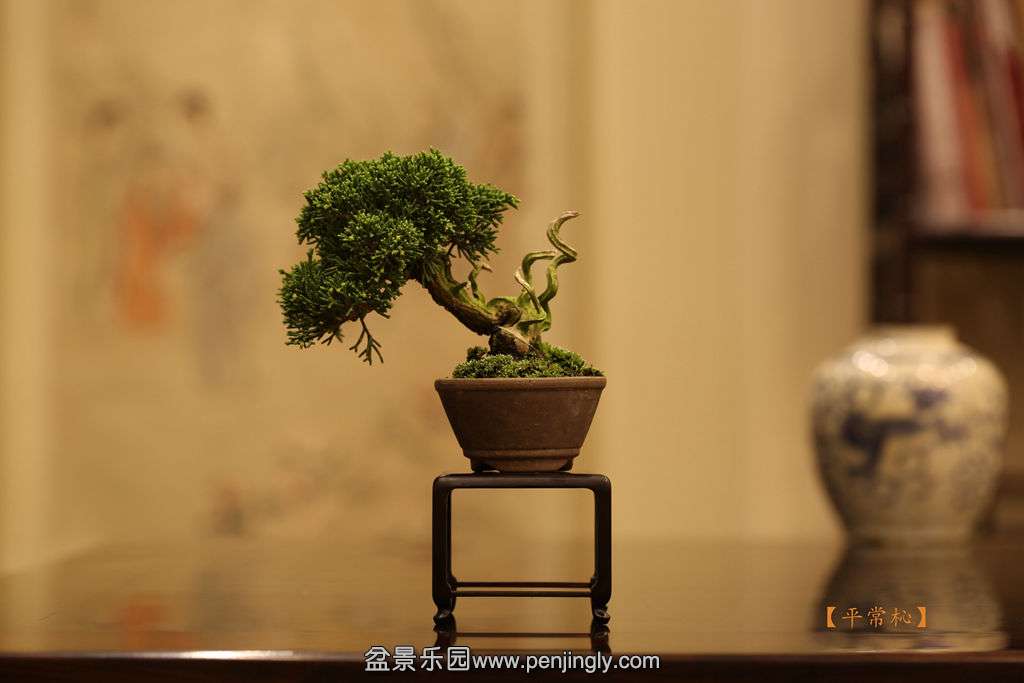 2015-04-01 2015-04-0103.jpg