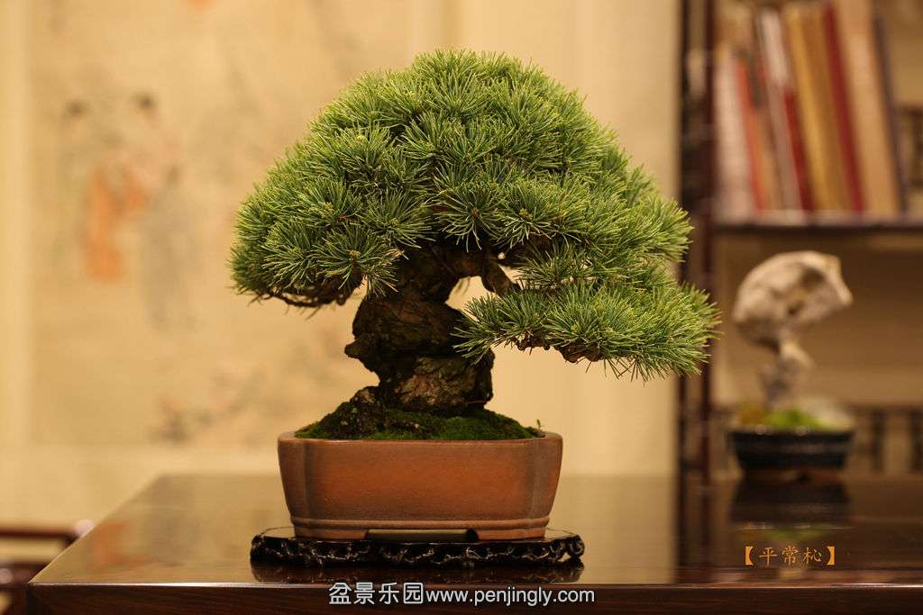 2015-04-01 2015-04-0110.jpg