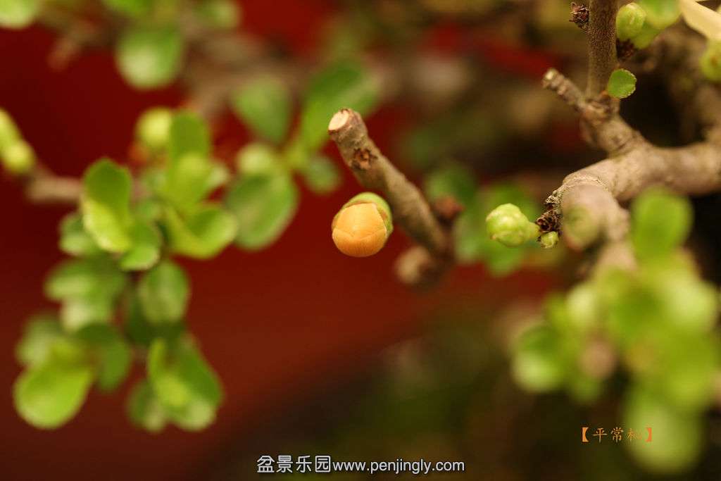 2015-04-01 2015-04-0106.jpg