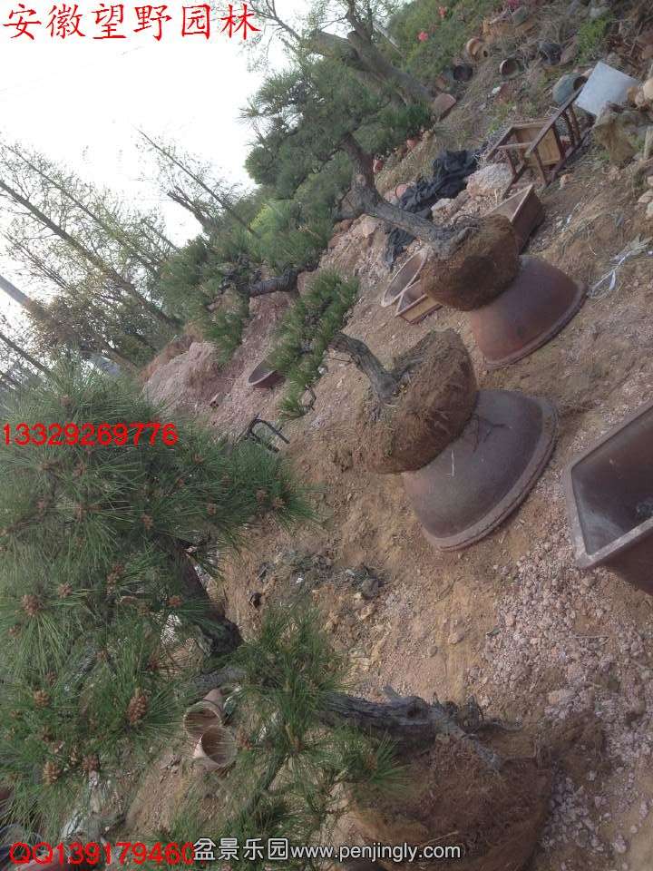 B06E89D2D15571118E87BA1952415C89.jpg
