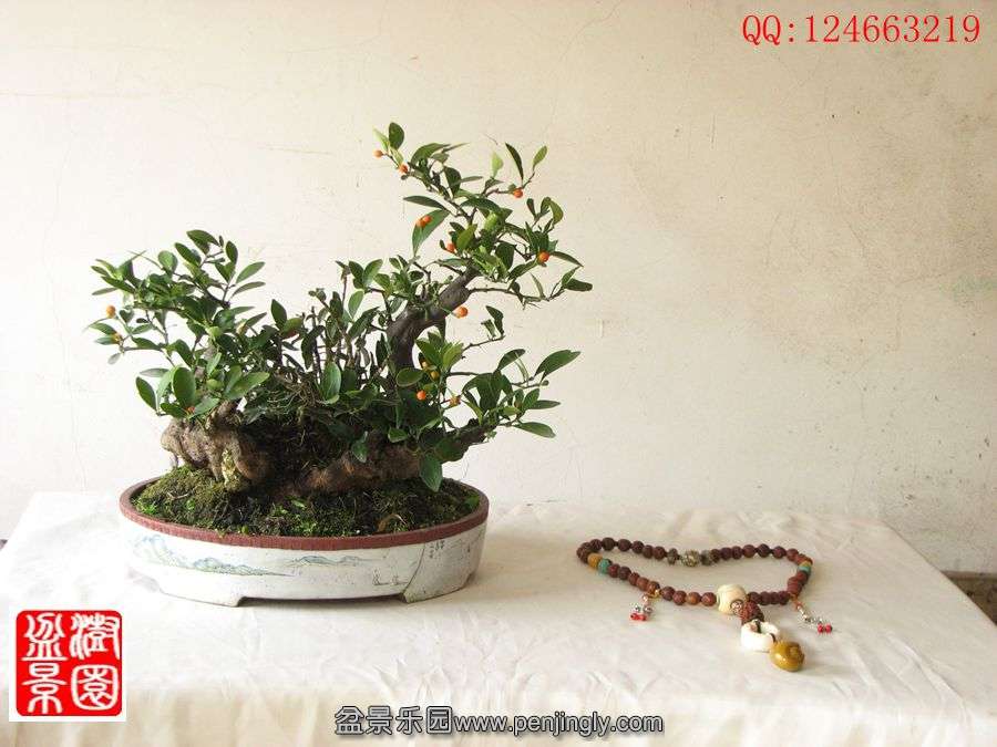 IMG_0283__.jpg