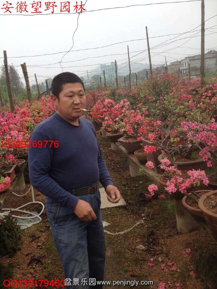 749D8BF33CBB17A0C70D7719185A1E56.jpg