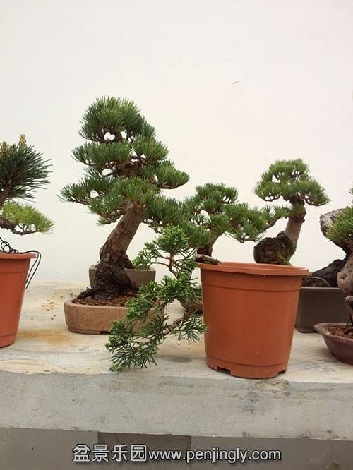 P50403-084330_.jpg