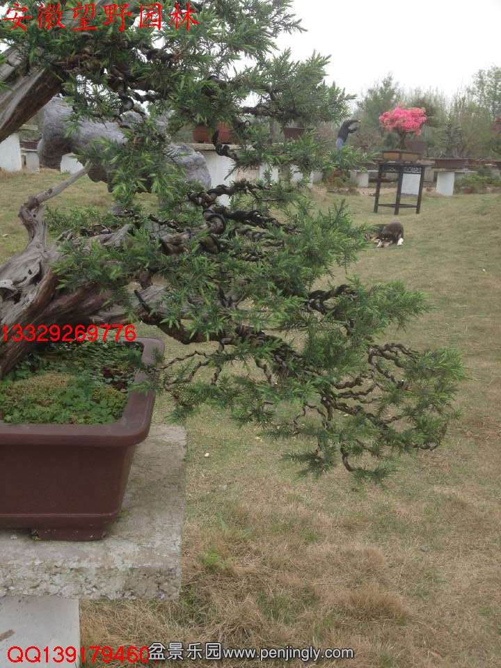 A422A71AE71775DDC0997CCAB1E8928B.jpg