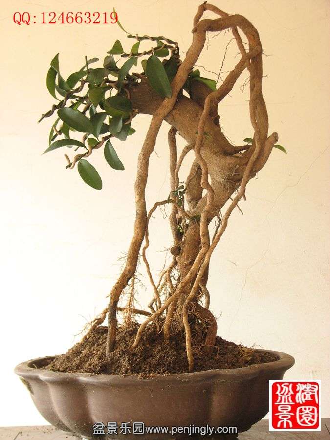 IMG_0289__.jpg