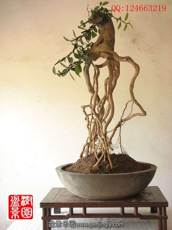 IMG_0298__.jpg