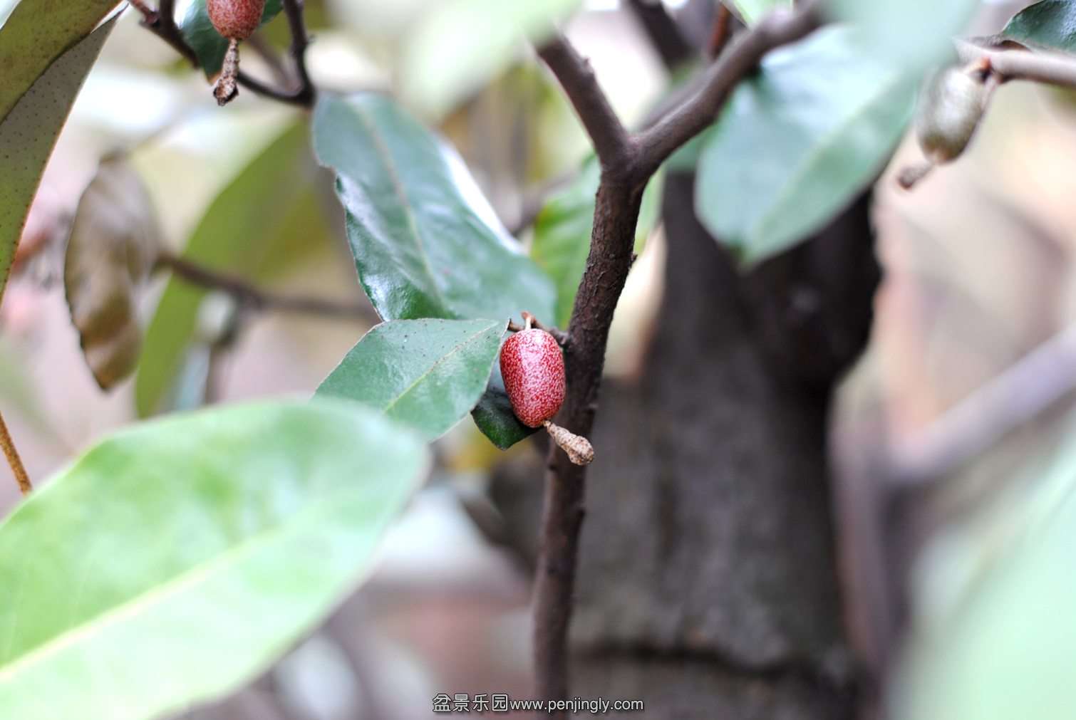 DSC_0894.JPG