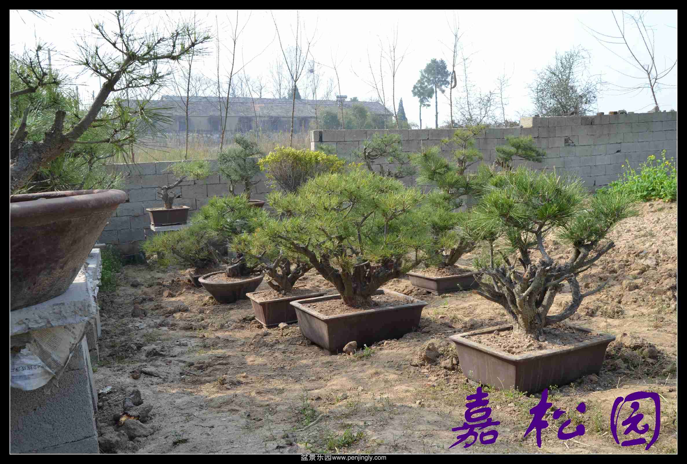 ������ 042.JPG