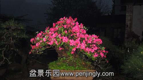 IMG_8494_.jpg