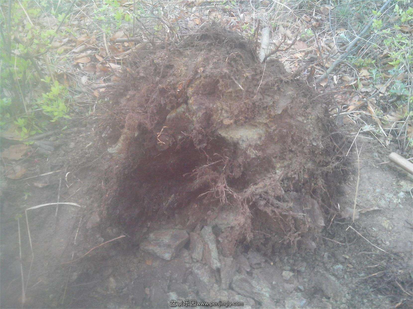 IMG20150404015.jpg