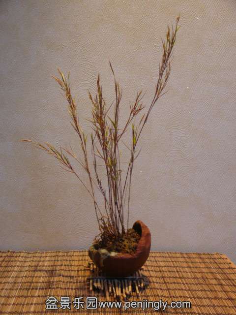 DSC00567.JPG