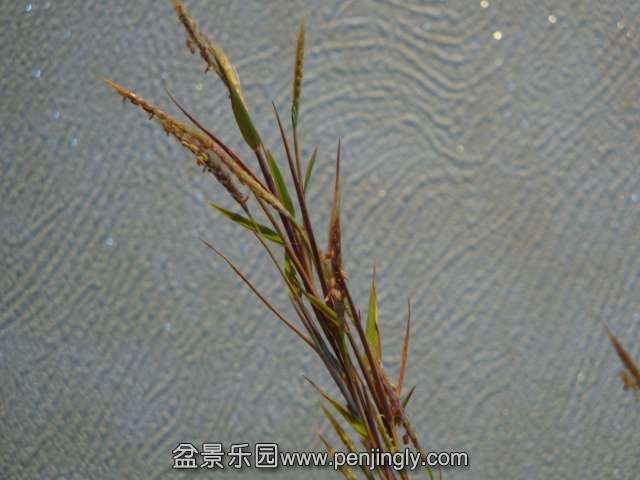 DSC00569.JPG