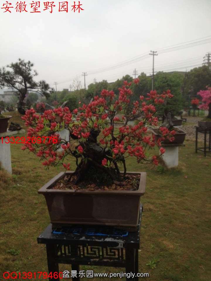 574BBAA45797FECB8A0830D6F7D6D278.jpg