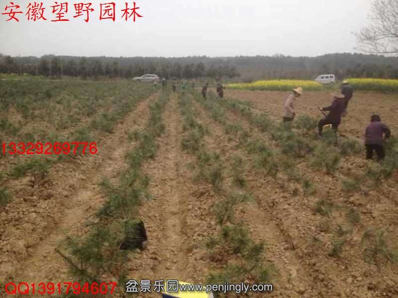 4FDC9E5E9FB9C0487B320A3808ECCBD0.jpg