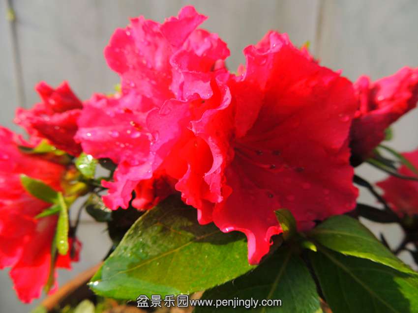 DSCN4587_.jpg