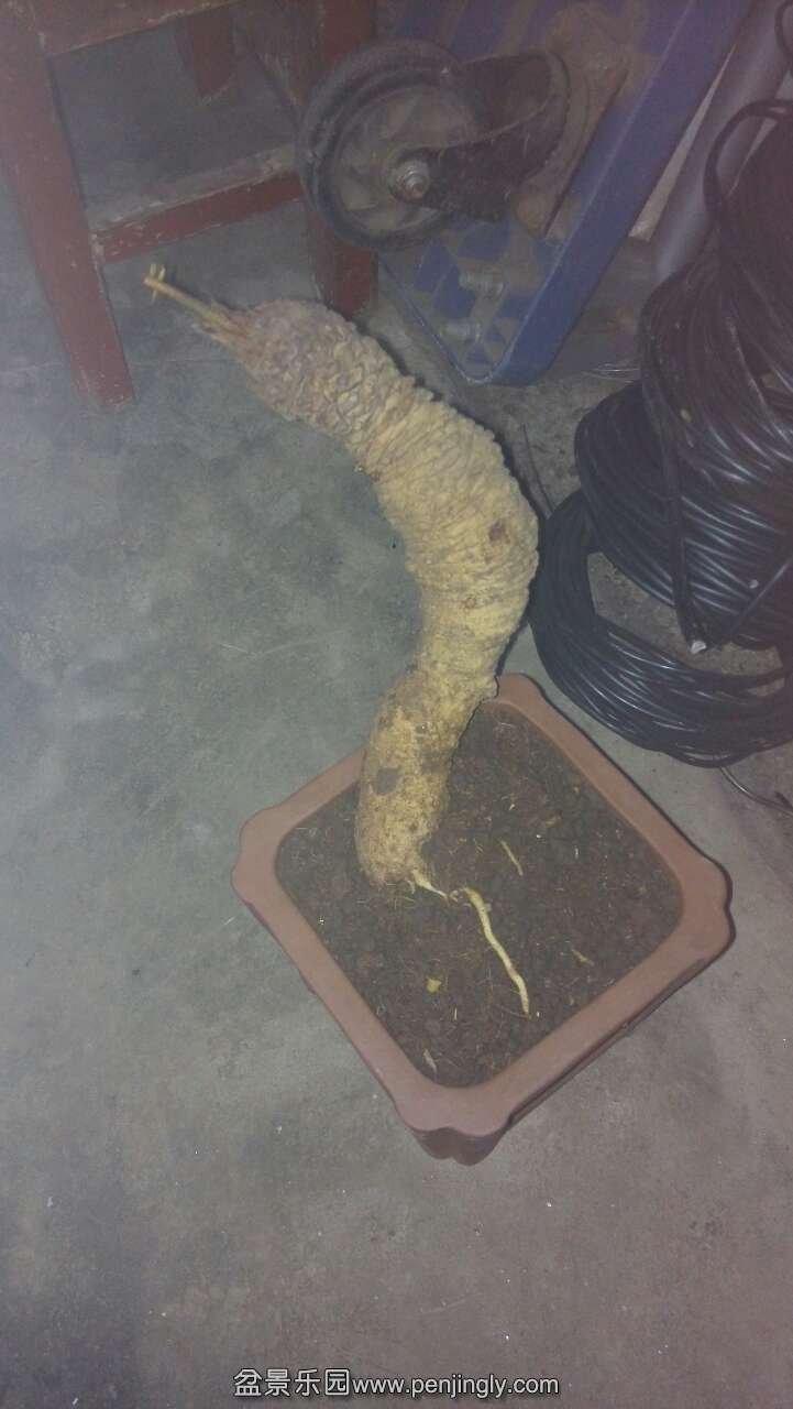 35.jpg