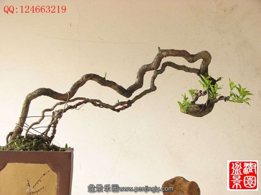 IMG_0317_.jpg