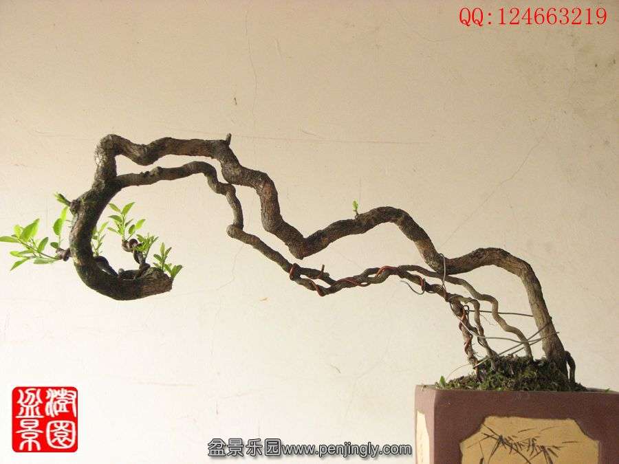 IMG_0319_.jpg