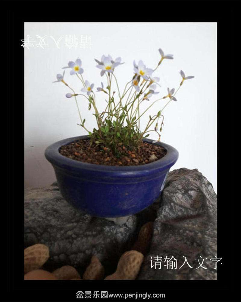 20150408_120432.jpg