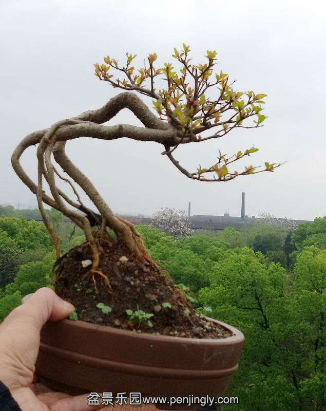 20150408_113057.jpg