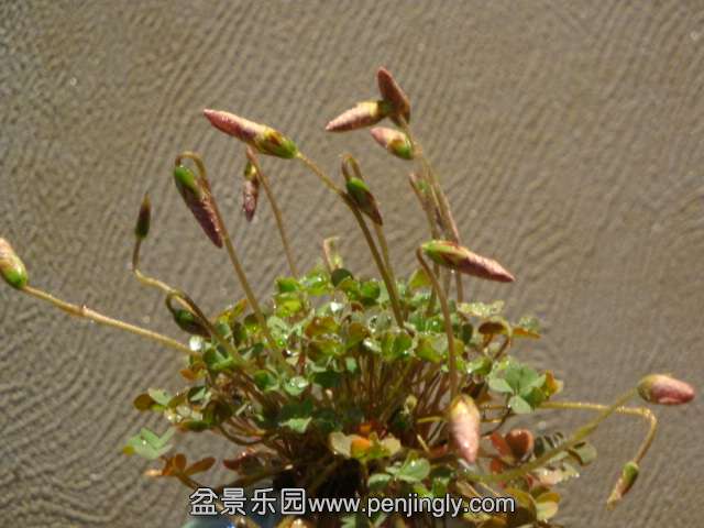 DSC00583.JPG