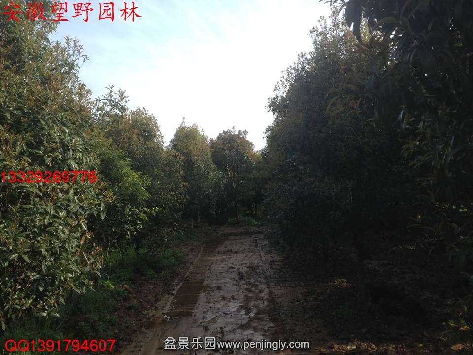 6EBBCB996055607564AF1604D58CCFA8.jpg