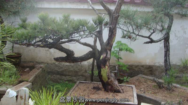 DSC03161_.jpg