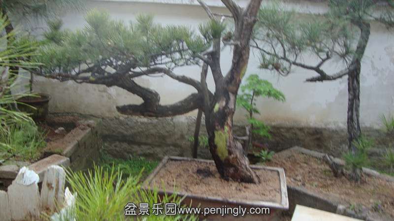 DSC03162_.jpg