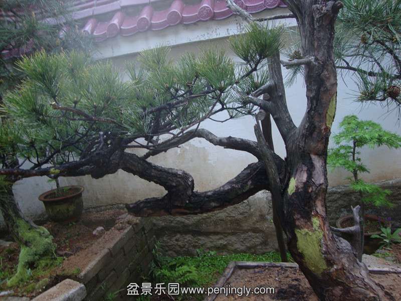 DSC03167_.jpg
