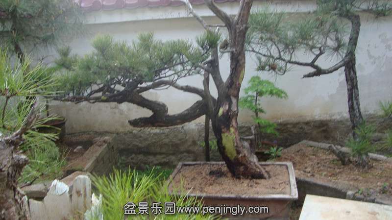 DSC03163_.jpg