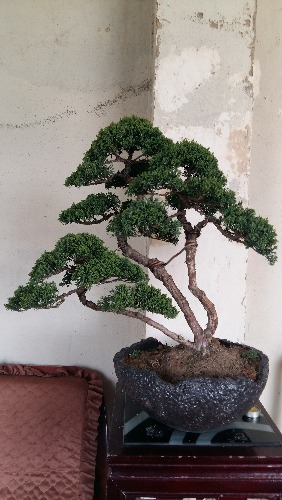 20150411_105045.jpg