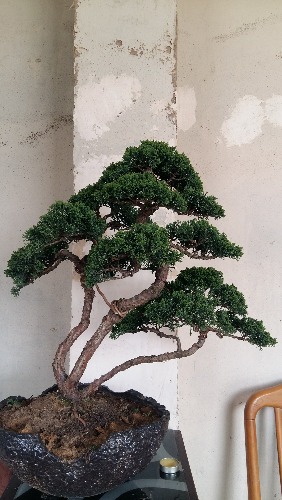 20150411_105100.jpg