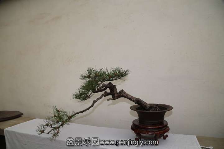 IMG_1714.JPG
